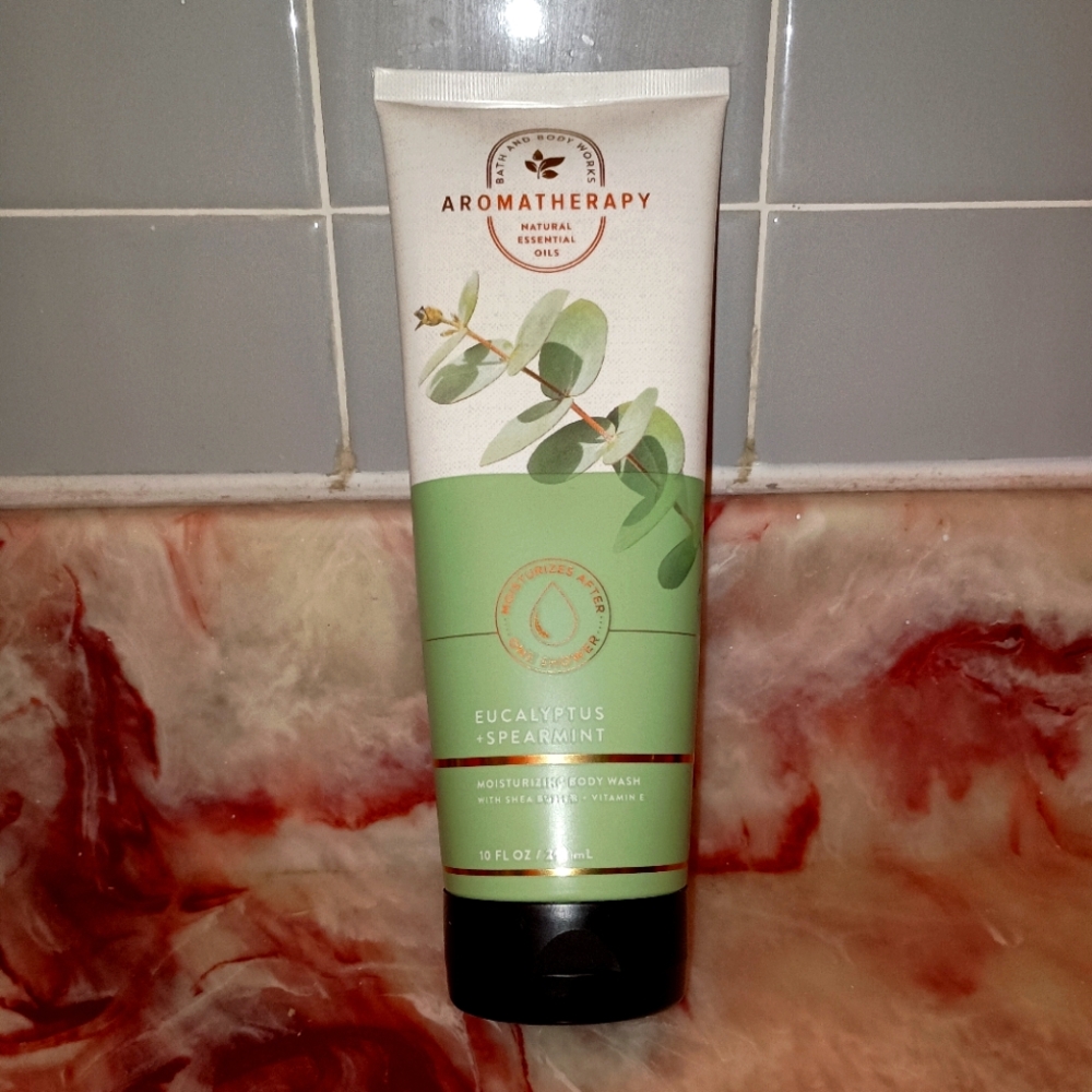 NEW Bath & Body Works Aromatherapy Eucalyptus Spearmint Moisturizing Body Wash